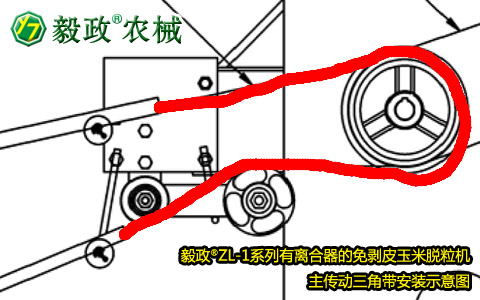 毅政牌ZL1系列有離合器的免剝皮玉米脫粒機(jī)，主傳動(dòng)三角帶正確安裝